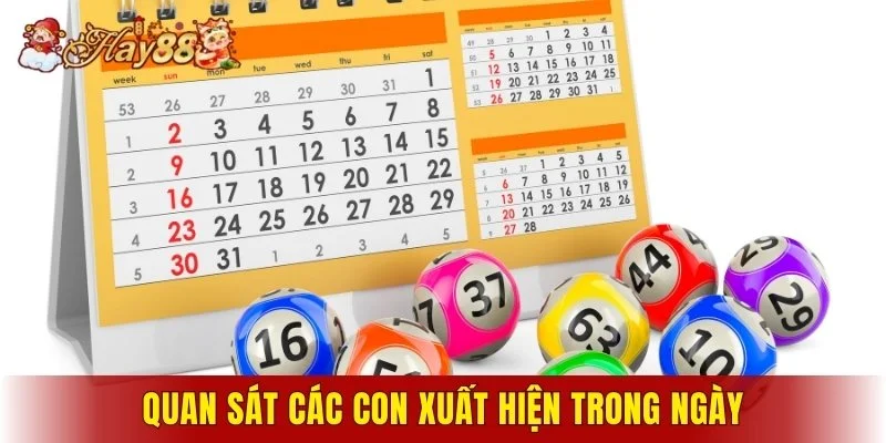 Người chơi nên quan sát các con xuất hiện trong ngày