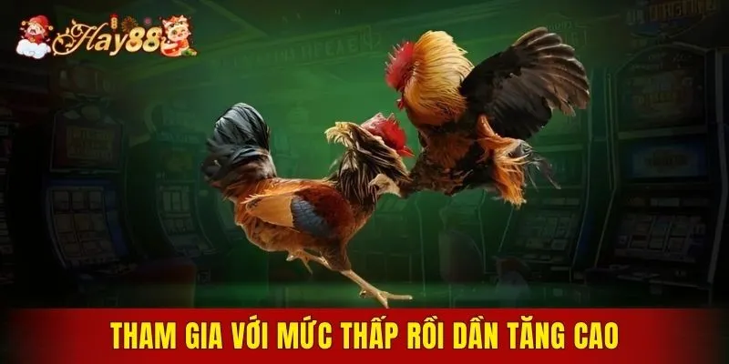 Tham gia với mức thấp rồi dần tăng cao